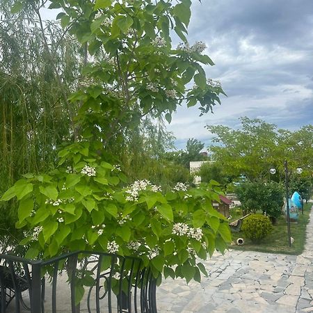 Ralina Restaurant And Hotel Ararat Ngoại thất bức ảnh